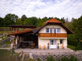 Vineyard cottage Na hribu, holiday rental in Dvor