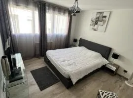 Superbe appartement plein centre de Lyon