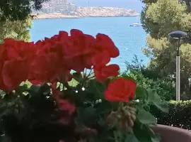 Beach & Flowers