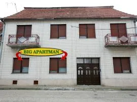 BIG APARTMAN BELA CRKVA