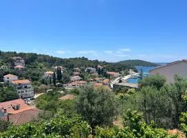 Apartments with parking space Maslinica, Solta - 5176