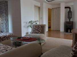 Apartman Saša, cheap hotel in Vranje