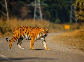 Wild Planet Eco Retreat, hotel near Bardia National Park, Bhurkīā