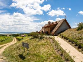 Tagyon Birtok Kései szüret Apartmanház, appartement à Tagyon