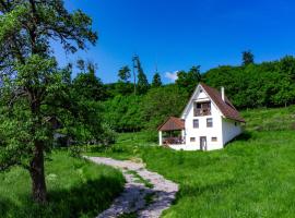 Chata Holý Vrch - oáza kľudu a pokoja, holiday rental in Krupina