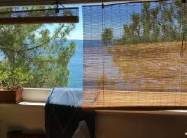 Ginestre Mare 7 - Seashore Apartment