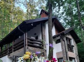Vila KTM Lisine, cabaña o casa de campo en Despotovac