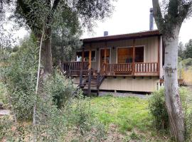 Cabaña de Montaña, hotel v destinaci San Martín de los Andes