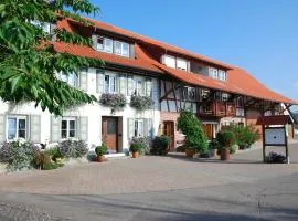 FERIENHOF KATZENMAIER, Bauernhof- und Familienurlaub am BODENSEE, großzügig wohnen, MESSENAH und teils BARRIEREFREI, Spielangebot für drinnen und draußen, Parkplatz am Haus, gute ÖPNV-Anbindung