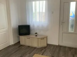 Apartament de inchiriat în localitatea Dănești