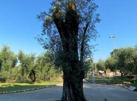 Casa Vacanze La Selva, φθηνό ξενοδοχείο σε Sonnino