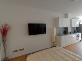 Modernes Apartment, leilighet i Bad Bellingen