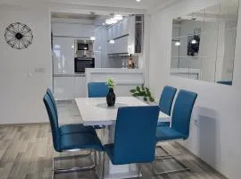 Downtown One-Bedroom Deluxe Apartment