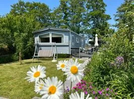 Chalet 536 op Recreatiepark De Wielen