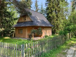 Sowie Domki - Domek Nad Potokiem, holiday home in Kacwin
