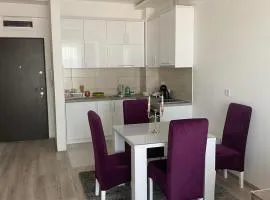 Milojević Apartman