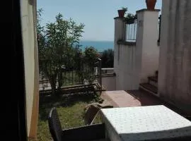 Mandorlo 2