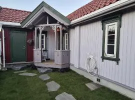 Lite byhus - sentralt koselig