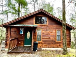 Crazy Bear - Motorcycle Friendly Home with Hot Tub and Grill, hotelli kohteessa Tellico Plains