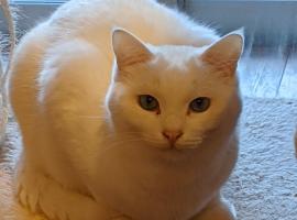 ๋คํ
์ผ๋ง์ ์์นํ ํธํ
Pension Alba - Vacation STAY 70965v