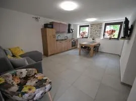 Apartments Ten Sen