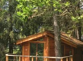 la Cabane dans les Arbres