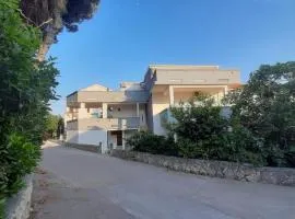 Apartments Dado