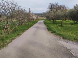 Na Zeleni cesti / On the green road, hotel in Dekani