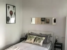 Near City park only 5 minutes walk , where you can find the world famous Szechenyi thermal bath spa, Capital Circus , Museums The apartment is modern and newly renovated ,in a quiet and peaceful green Oasis with AC ,smart TV, high speed internet