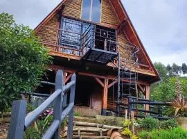 GLAMPING MILAGROS