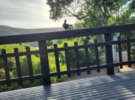 Nature's Edge Cabin, villa in Natureʼs Valley