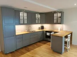Vytauto 421 Apartments by JK