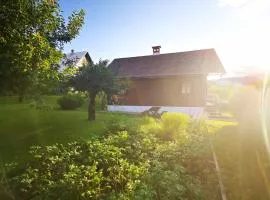 Hiška pr Bohinjski mami