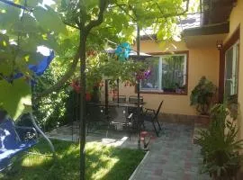 Lovely Apartment With Courtyard