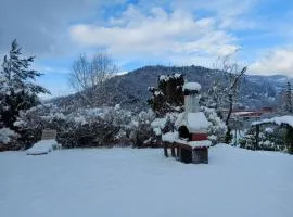 Chalet in Vosges near Rouge Gazon Ski Resort