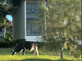 Flat Monte Castelo Gravatá 2 Quartos Condomio Ao lado da Fazendinha