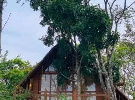 Kale Cottage Belihuloya