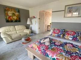 Goeland 3, studio classé climatisé, wifi, terrasses petite vue mer latérale au 3 ème étage sans ascenseur