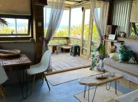 Lily Pad lodge