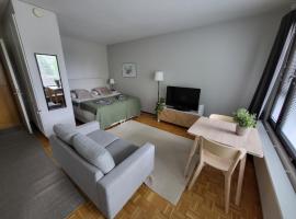 Beautiful studio - easy check-in, free parking & wifi, vakantiewoning aan het strand in Rovaniemi