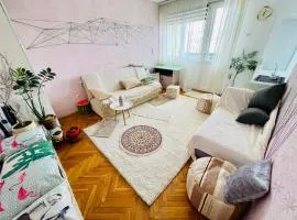 Triangulum apartment Center of Niksic