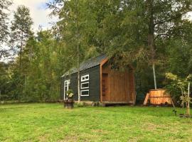 Tinyhouse Licanray, holiday home in Licán Ray