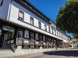 Hotel Grüner Baum, hotel a Bühlertal