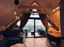 Santa Angela Solina Resort & SPA、ソリナのペット同伴可ホテル