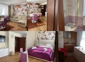 Apartament u Wioli