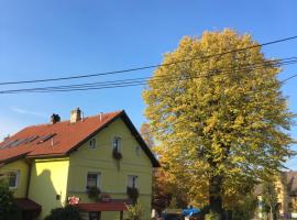 Pension U Rytíře, guest house in Janov