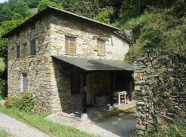 CASA EN BRAÑA VAQUEIRA EN OCCIDENTE DE ASTURIAS, παραθεριστική κατοικία 