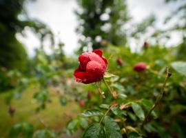 Apartmani Gorica, Hotel in Fužine