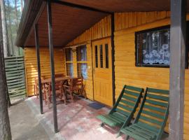 Ośrodek Wypoczynkowy Jaszczurka, self catering accommodation in Ocypel