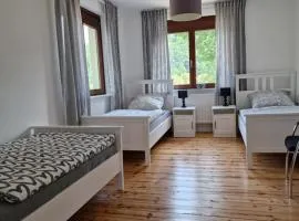 Lindenwohnung an historischer Mühle